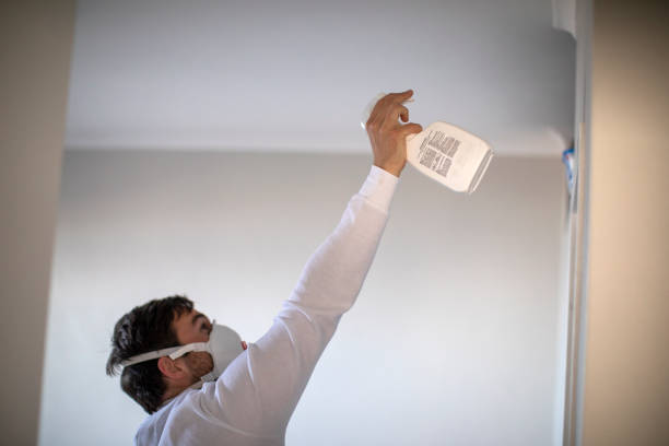Best Local Mold Removal Service  in Eufaula, AL