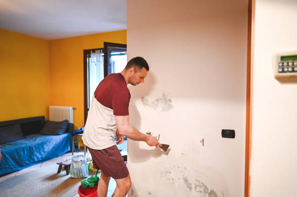 Best Mold Damage Repair  in Eufaula, AL